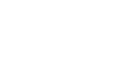 nslogo